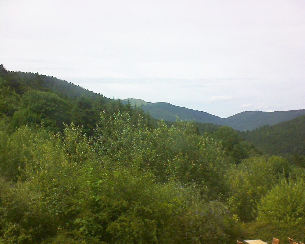 Le petit ballon (Alsace, Vosges) le 05.07.2024 à 15:45