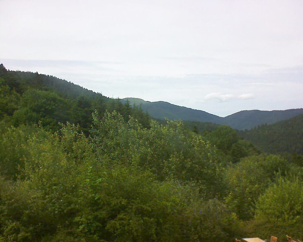 Le petit ballon vu depuis le Domaine Langmatt à Murbach le 05.07.2024 à 16:00 Le petit ballon (Alsace, Vosges) le 05.07.2024 à 16:00