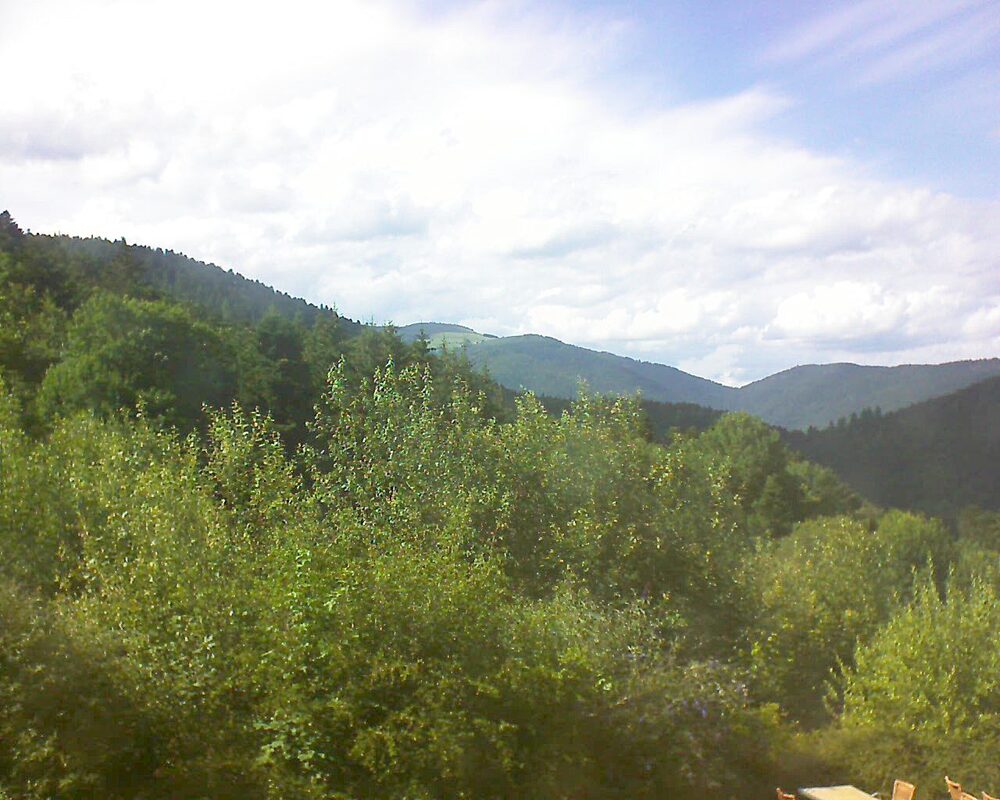 Le petit ballon (Alsace, Vosges) le 07.07.2024 à 17:15