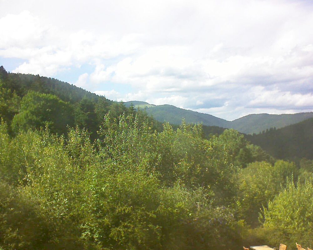 Le petit ballon (Alsace, Vosges) le 07.07.2024 à 17:30