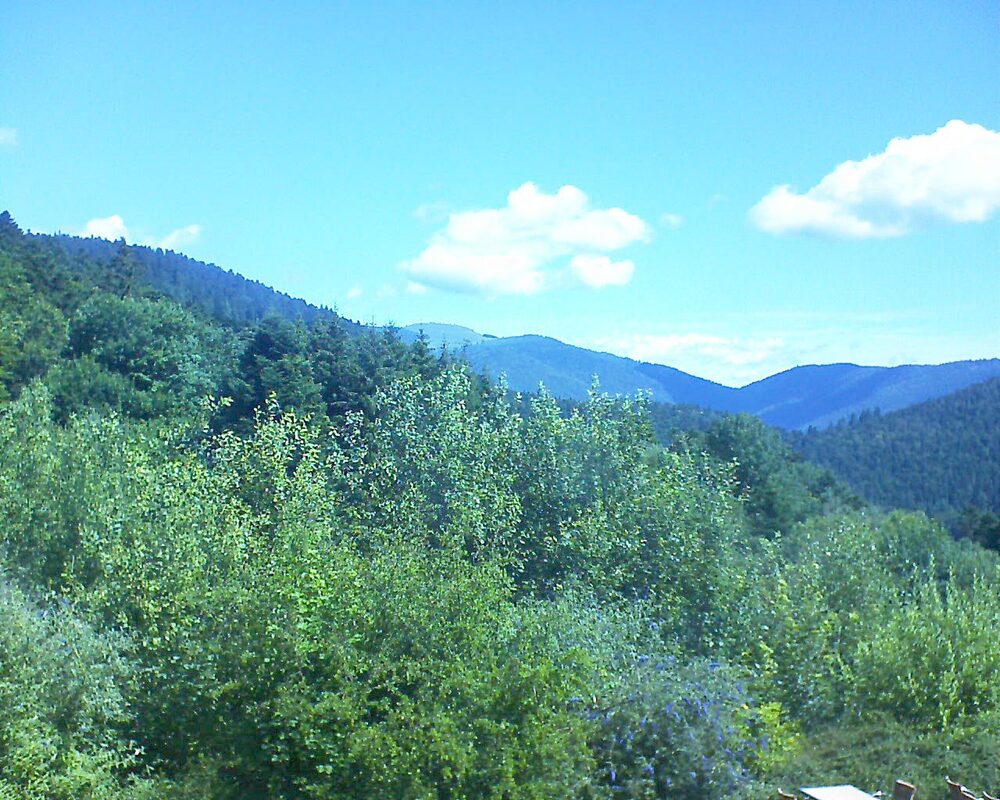 Le petit ballon vu depuis le Domaine Langmatt à Murbach le 08.07.2024 à 11:00 Le petit ballon (Alsace, Vosges) le 08.07.2024 à 11:00