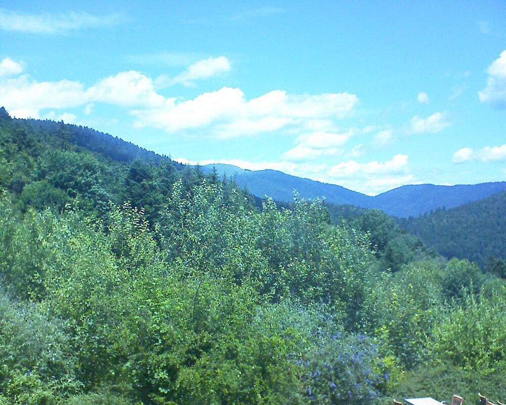 Le petit ballon (Alsace, Vosges) le 08.07.2024 à 13:00
