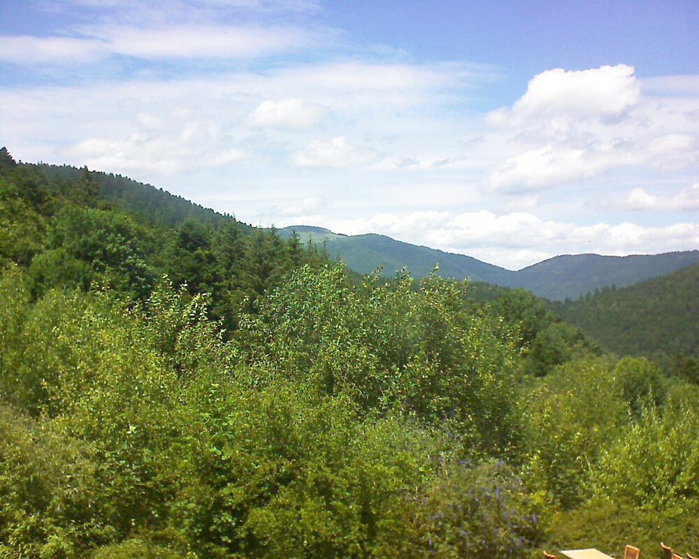Le petit ballon vu depuis le Domaine Langmatt à Murbach le 08.07.2024 à 14:00 Le petit ballon (Alsace, Vosges) le 08.07.2024 à 14:00