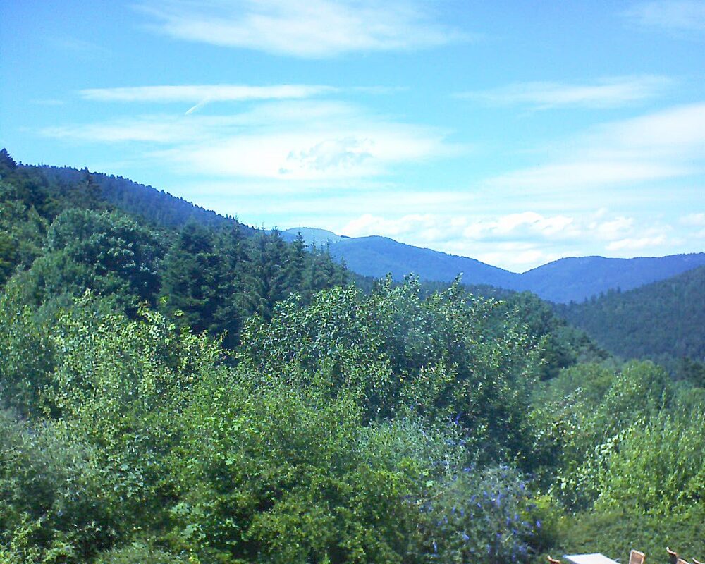 Le petit ballon vu depuis le Domaine Langmatt à Murbach le 08.07.2024 à 15:00 Le petit ballon (Alsace, Vosges) le 08.07.2024 à 15:00