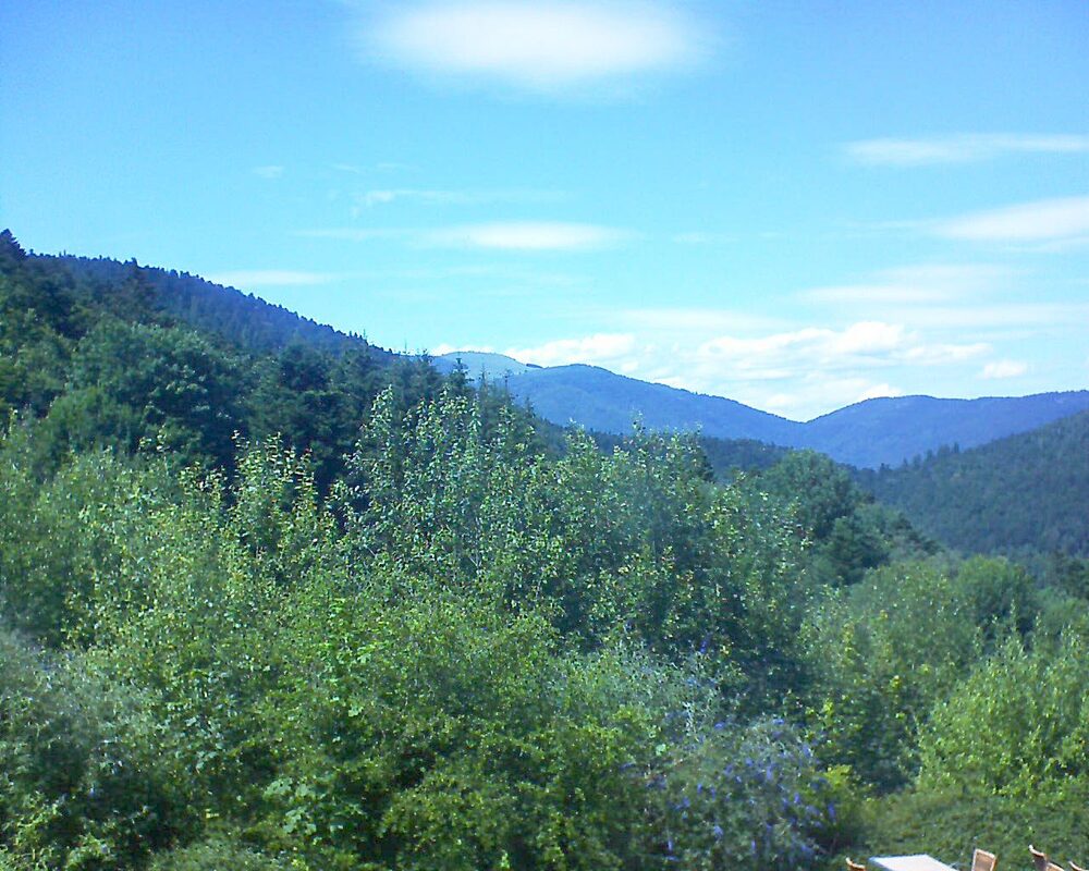 Le petit ballon vu depuis le Domaine Langmatt à Murbach le 08.07.2024 à 15:15 Le petit ballon (Alsace, Vosges) le 08.07.2024 à 15:15