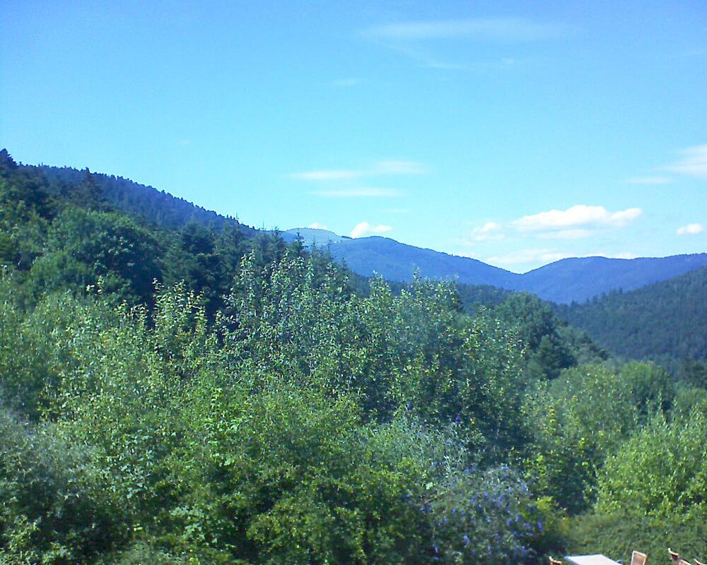 Le petit ballon vu depuis le Domaine Langmatt à Murbach le 08.07.2024 à 15:45 Le petit ballon (Alsace, Vosges) le 08.07.2024 à 15:45