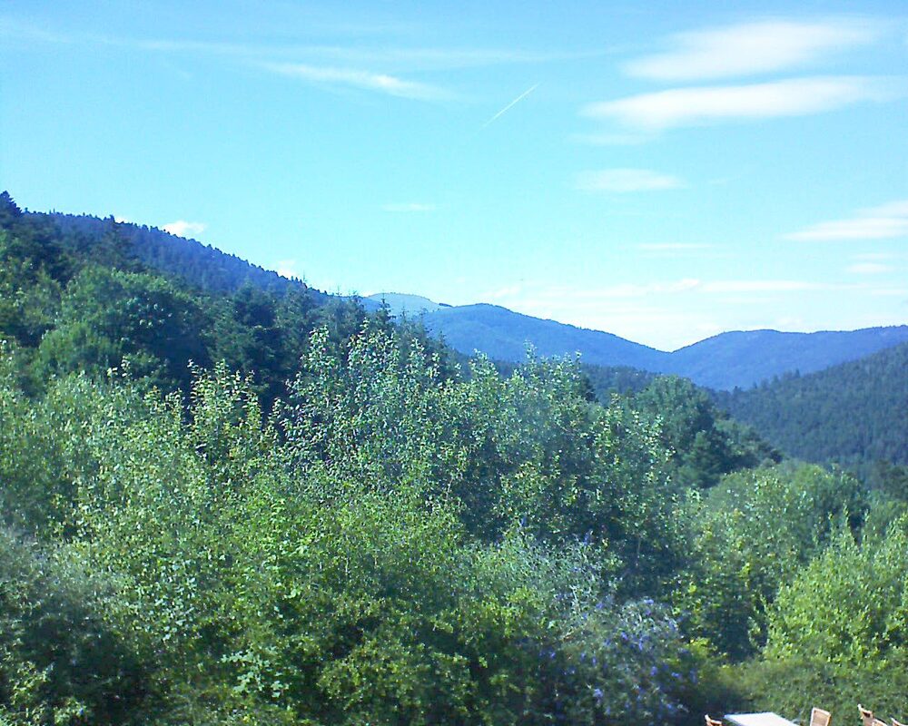Le petit ballon vu depuis le Domaine Langmatt à Murbach le 08.07.2024 à 16:30 Le petit ballon (Alsace, Vosges) le 08.07.2024 à 16:30