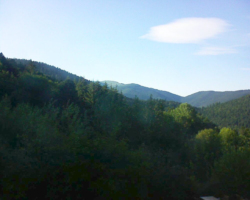 Le petit ballon (Alsace, Vosges) le 08.07.2024 à 19:00