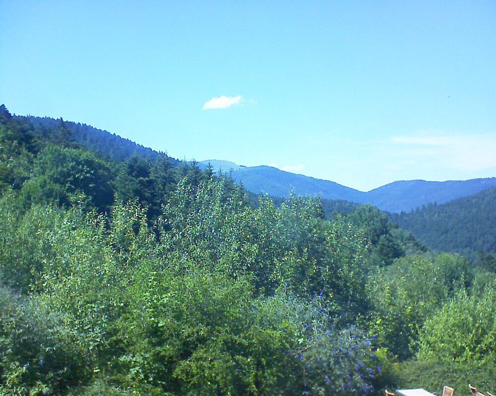 Le petit ballon vu depuis le Domaine Langmatt à Murbach le 09.07.2024 à 15:45 Le petit ballon (Alsace, Vosges) le 09.07.2024 à 15:45