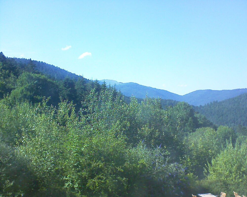 Le petit ballon (Alsace, Vosges) le 09.07.2024 à 17:30