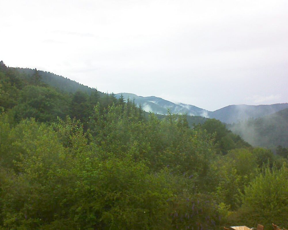 Le petit ballon vu depuis le Domaine Langmatt à Murbach le 10.07.2024 à 11:00 Le petit ballon (Alsace, Vosges) le 10.07.2024 à 11:00