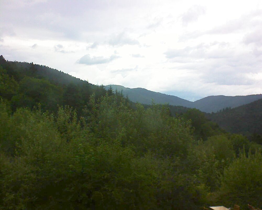 Le petit ballon (Alsace, Vosges) le 10.07.2024 à 17:00