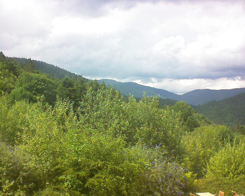 Le petit ballon vu depuis le Domaine Langmatt à Murbach le 11.07.2024 à 15:30 Le petit ballon (Alsace, Vosges) le 11.07.2024 à 15:30