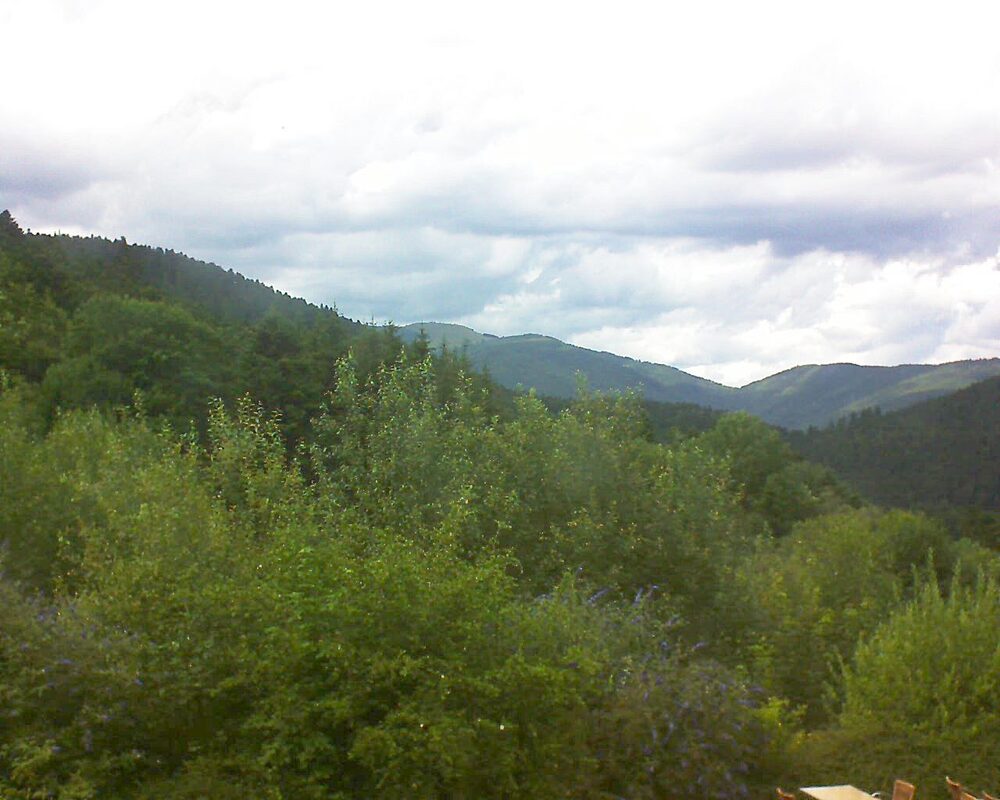 Le petit ballon (Alsace, Vosges) le 13.07.2024 à 16:15