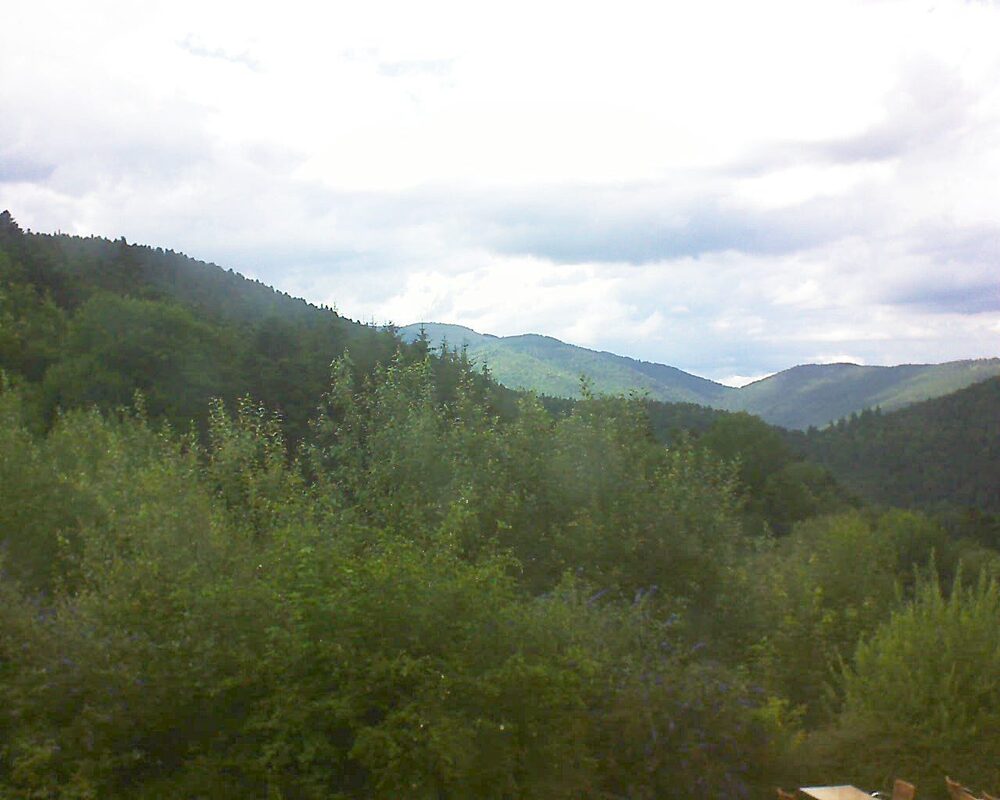 Le petit ballon vu depuis le Domaine Langmatt à Murbach le 13.07.2024 à 16:45 Le petit ballon (Alsace, Vosges) le 13.07.2024 à 16:45