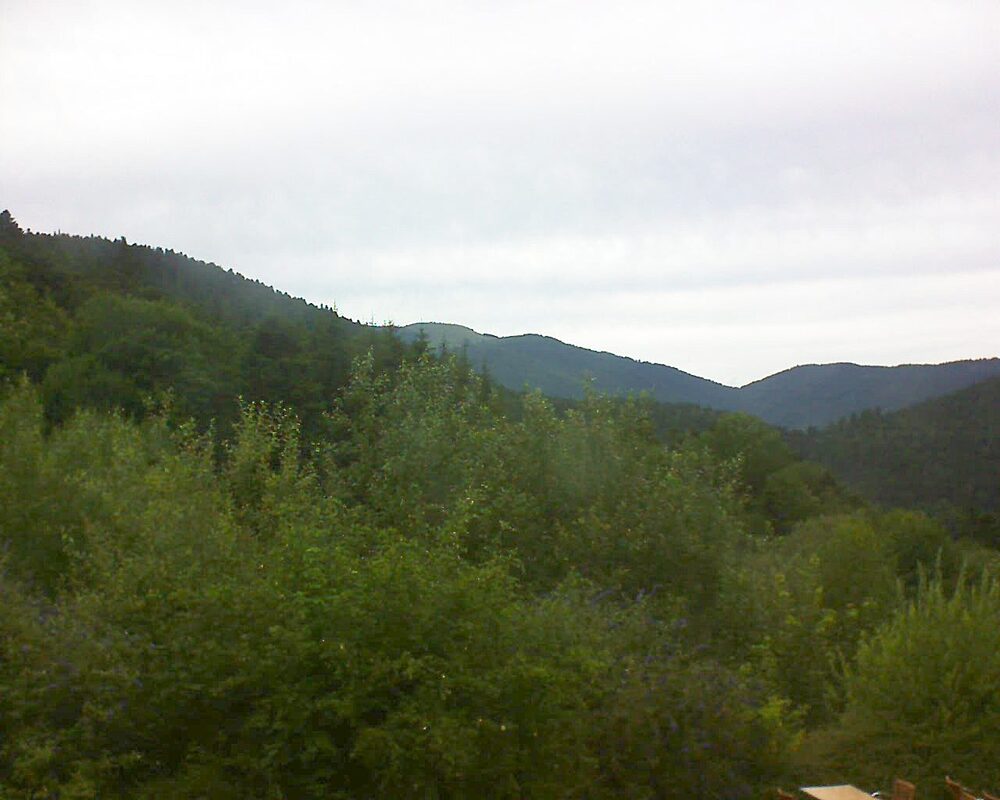 Le petit ballon (Alsace, Vosges) le 14.07.2024 à 15:15