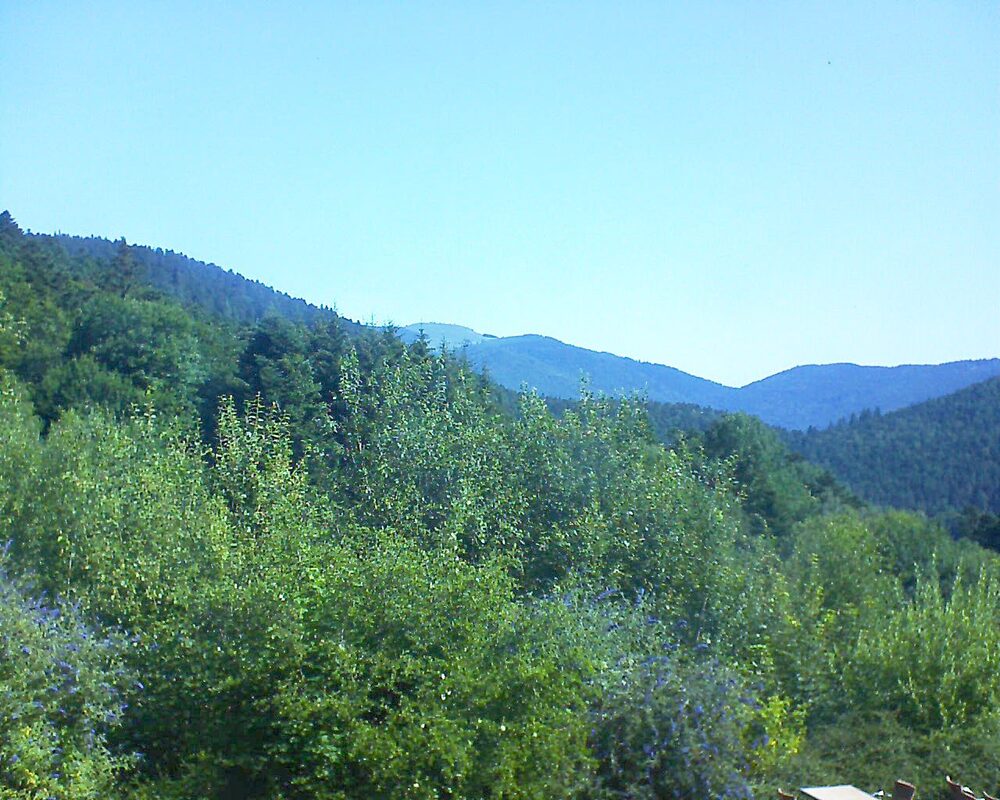 Le petit ballon vu depuis le Domaine Langmatt à Murbach le 15.07.2024 à 10:15 Le petit ballon (Alsace, Vosges) le 15.07.2024 à 10:15