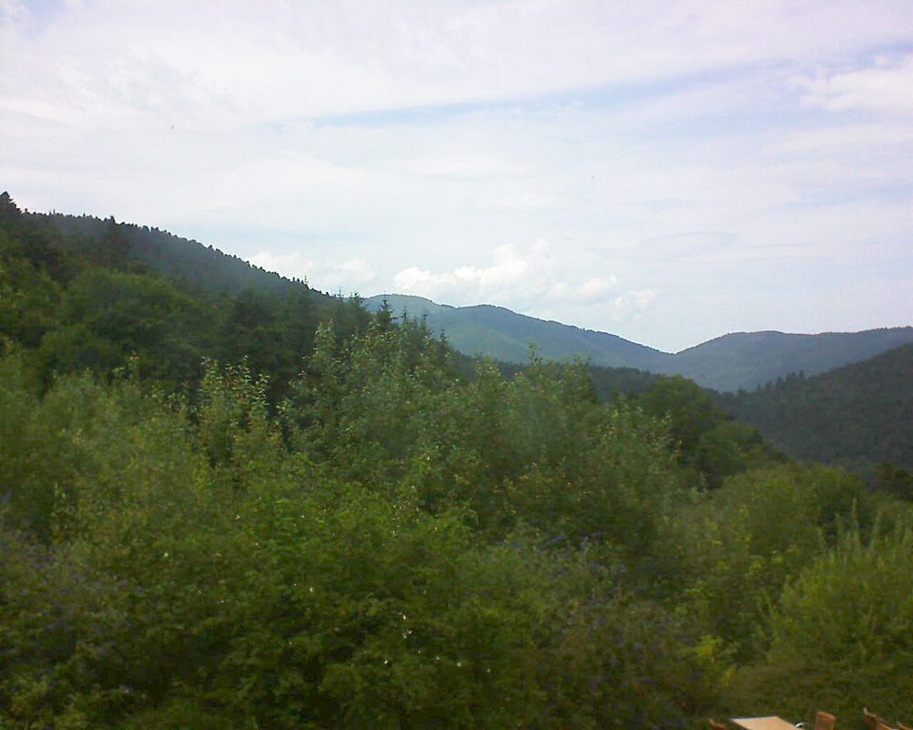 Le petit ballon vu depuis le Domaine Langmatt à Murbach le 15.07.2024 à 14:15 Le petit ballon (Alsace, Vosges) le 15.07.2024 à 14:15