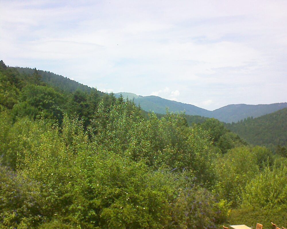 Le petit ballon vu depuis le Domaine Langmatt à Murbach le 15.07.2024 à 14:30 Le petit ballon (Alsace, Vosges) le 15.07.2024 à 14:30