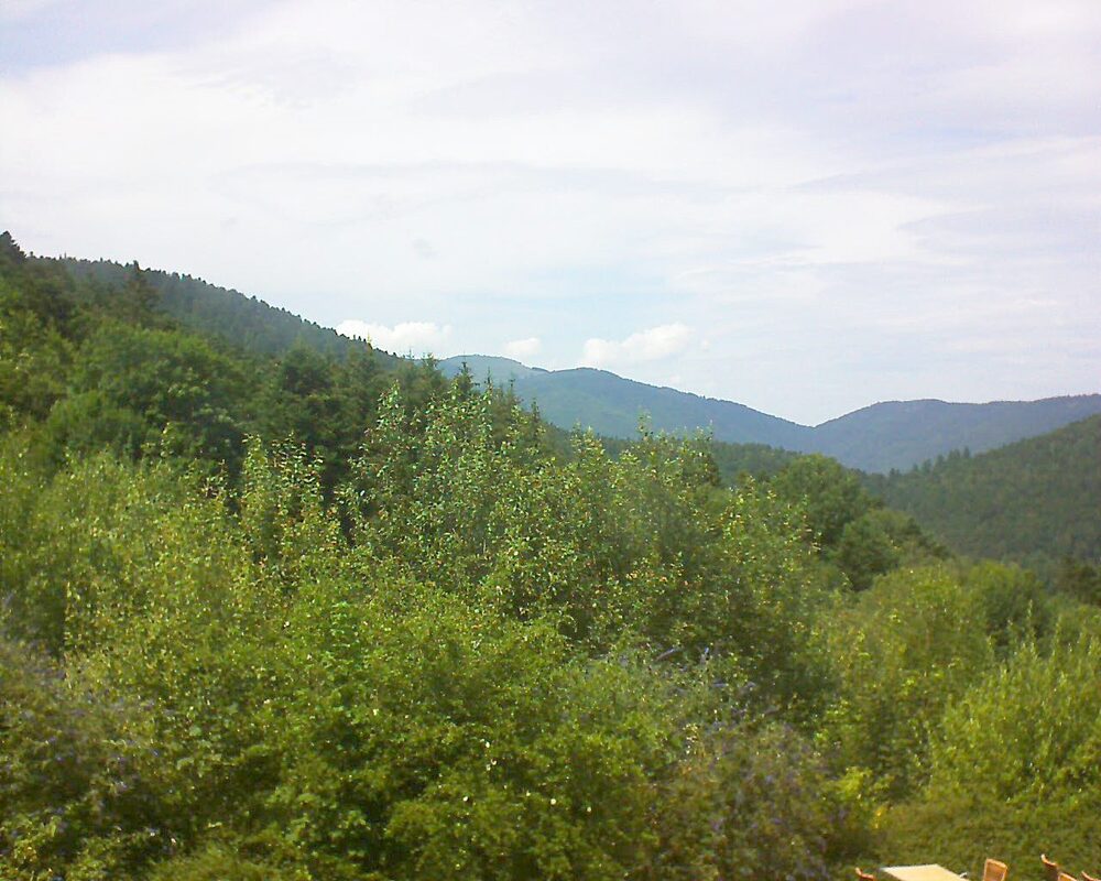 Le petit ballon vu depuis le Domaine Langmatt à Murbach le 15.07.2024 à 14:45 Le petit ballon (Alsace, Vosges) le 15.07.2024 à 14:45