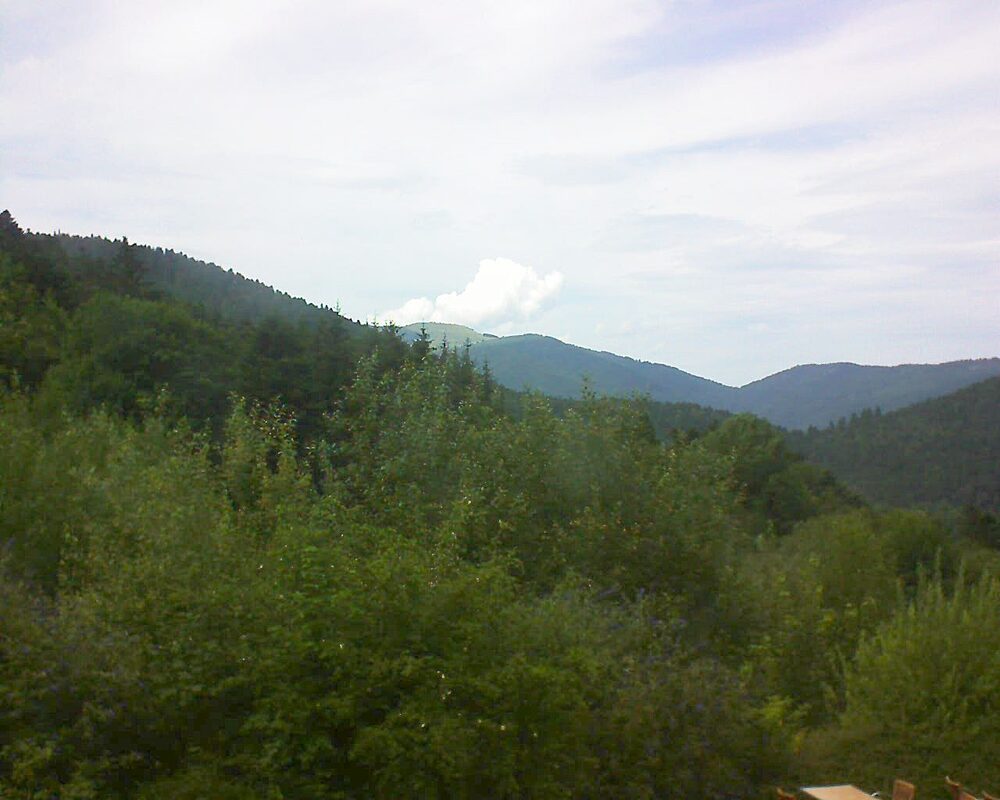 Le petit ballon (Alsace, Vosges) le 15.07.2024 à 15:00