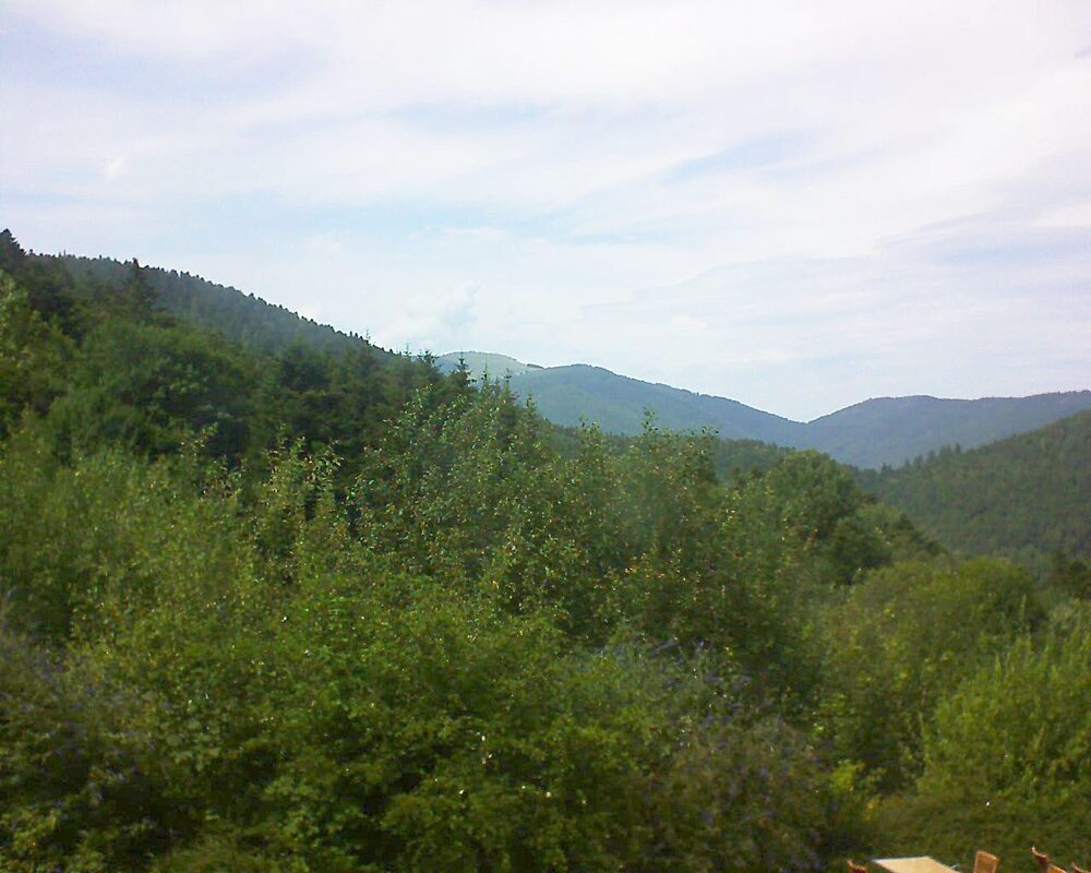 Le petit ballon vu depuis le Domaine Langmatt à Murbach le 15.07.2024 à 15:15 Le petit ballon (Alsace, Vosges) le 15.07.2024 à 15:15