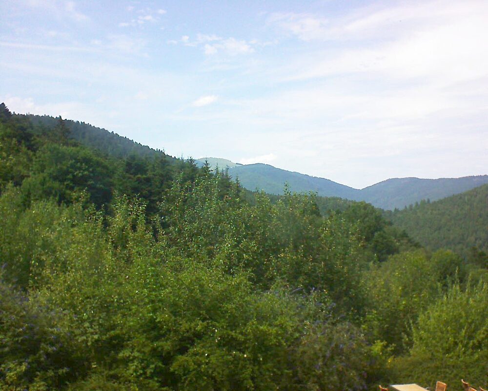 Le petit ballon vu depuis le Domaine Langmatt à Murbach le 15.07.2024 à 15:30 Le petit ballon (Alsace, Vosges) le 15.07.2024 à 15:30