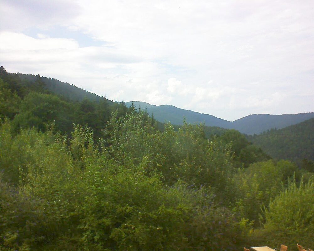 Le petit ballon vu depuis le Domaine Langmatt à Murbach le 15.07.2024 à 16:45 Le petit ballon (Alsace, Vosges) le 15.07.2024 à 16:45