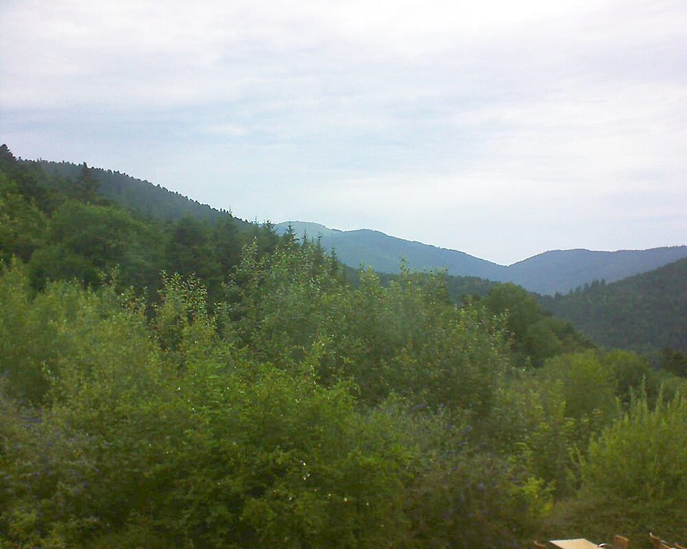 Le petit ballon vu depuis le Domaine Langmatt à Murbach le 15.07.2024 à 17:45 Le petit ballon (Alsace, Vosges) le 15.07.2024 à 17:45