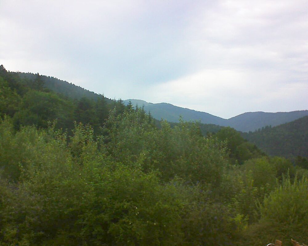 Le petit ballon vu depuis le Domaine Langmatt à Murbach le 15.07.2024 à 18:15 Le petit ballon (Alsace, Vosges) le 15.07.2024 à 18:15