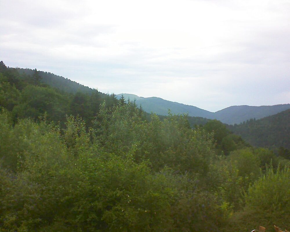 Le petit ballon vu depuis le Domaine Langmatt à Murbach le 15.07.2024 à 18:30 Le petit ballon (Alsace, Vosges) le 15.07.2024 à 18:30