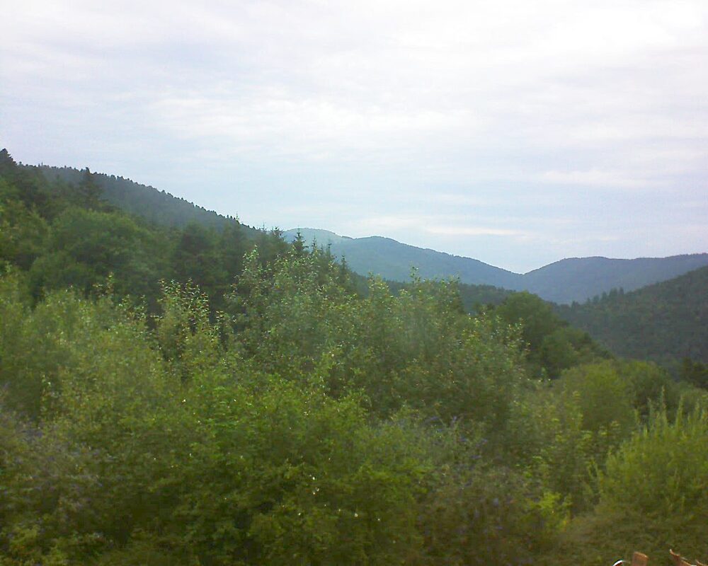 Le petit ballon vu depuis le Domaine Langmatt à Murbach le 15.07.2024 à 18:45 Le petit ballon (Alsace, Vosges) le 15.07.2024 à 18:45