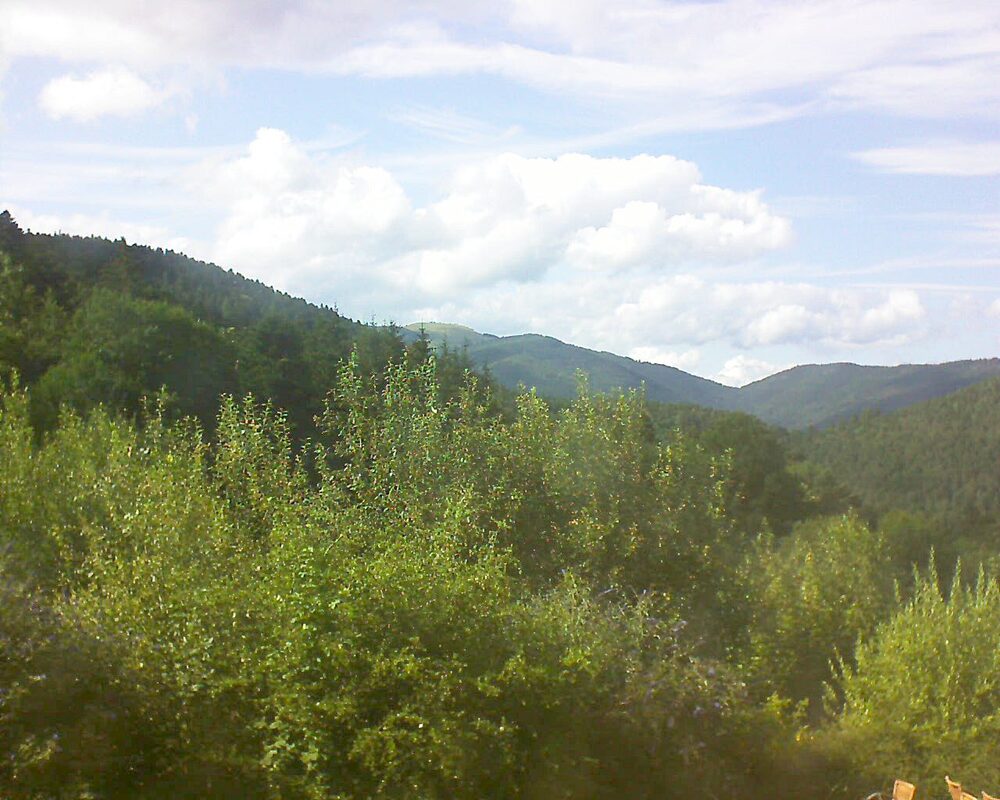 Le petit ballon vu depuis le Domaine Langmatt à Murbach le 16.07.2024 à 17:30 Le petit ballon (Alsace, Vosges) le 16.07.2024 à 17:30