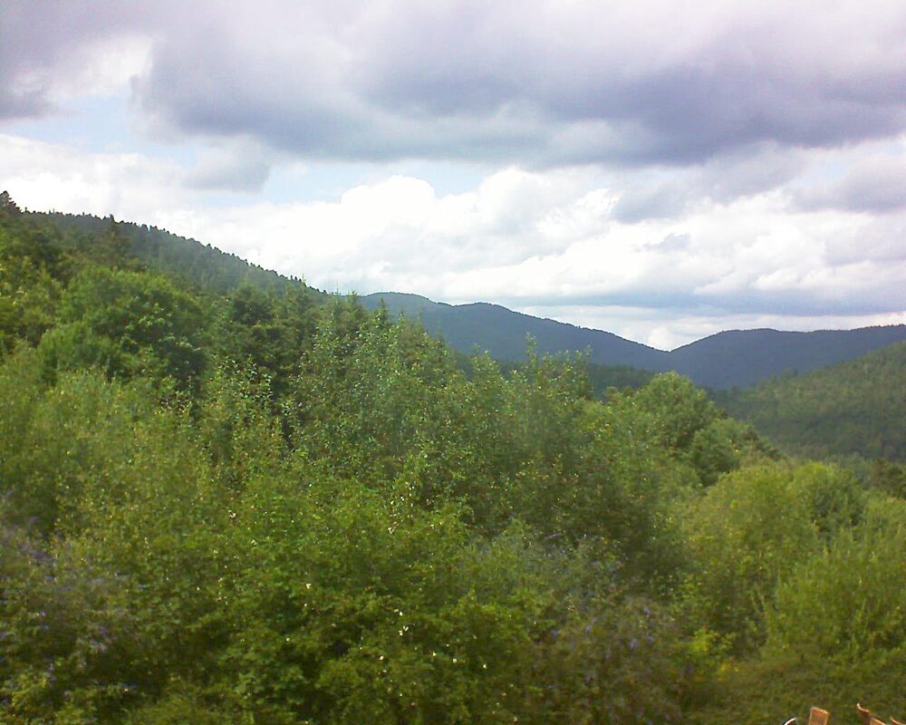 Le petit ballon (Alsace, Vosges) le 17.07.2024 à 15:00