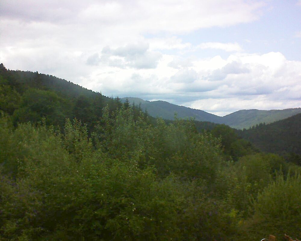 Le petit ballon (Alsace, Vosges) le 17.07.2024 à 15:30