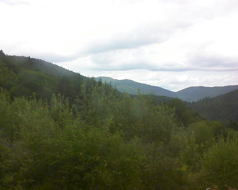 Le petit ballon (Alsace, Vosges) le 17.07.2024 à 16:15