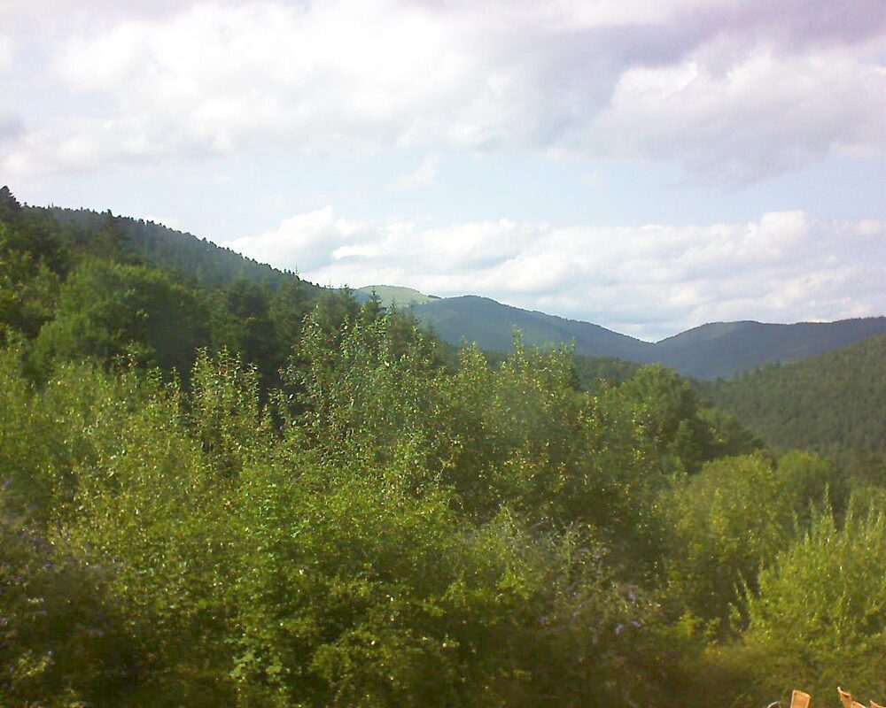 Le petit ballon vu depuis le Domaine Langmatt à Murbach le 17.07.2024 à 17:15 Le petit ballon (Alsace, Vosges) le 17.07.2024 à 17:15