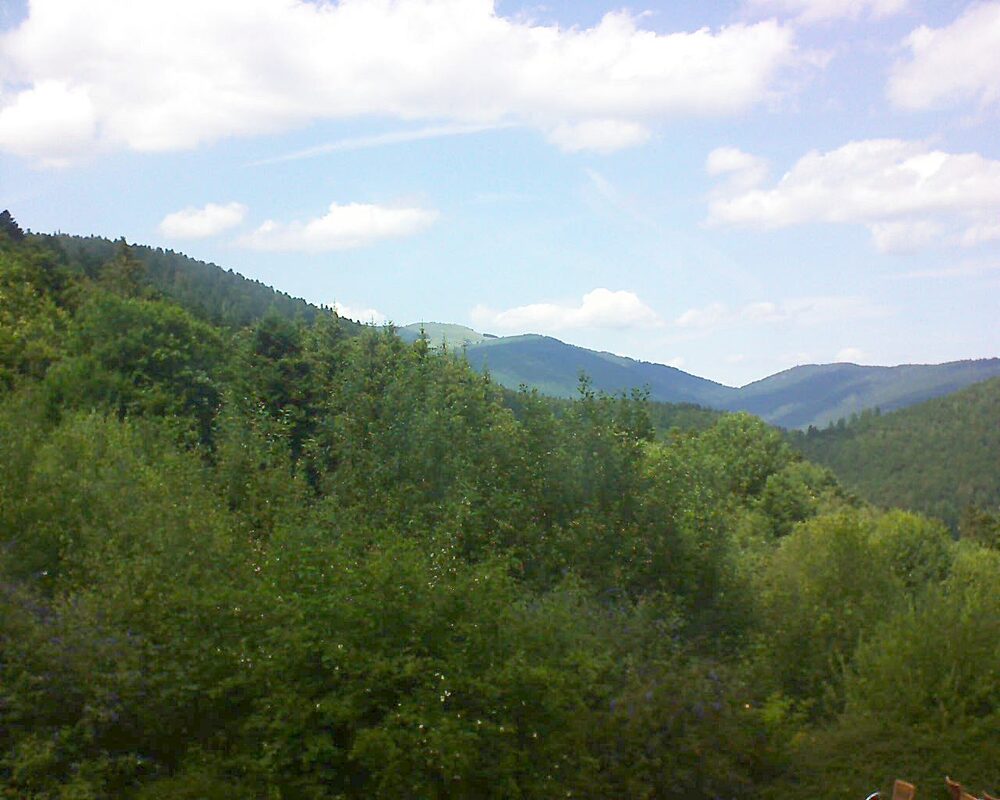 Le petit ballon (Alsace, Vosges) le 18.07.2024 à 14:45