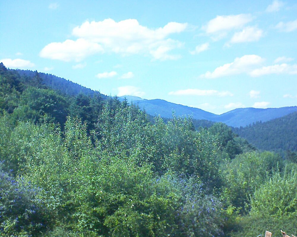 Le petit ballon vu depuis le Domaine Langmatt à Murbach le 18.07.2024 à 15:45 Le petit ballon (Alsace, Vosges) le 18.07.2024 à 15:45