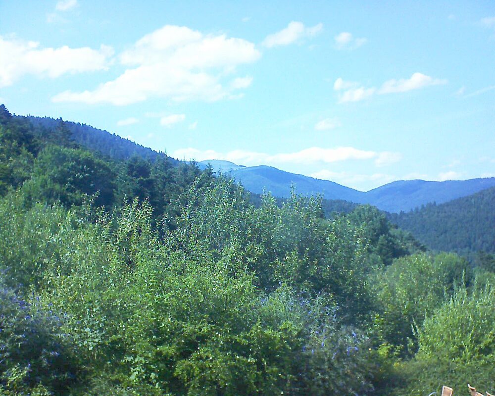 Le petit ballon (Alsace, Vosges) le 18.07.2024 à 16:15