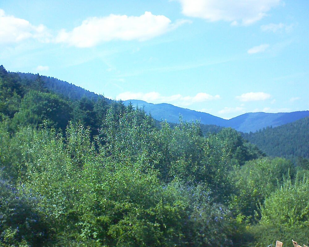Le petit ballon vu depuis le Domaine Langmatt à Murbach le 18.07.2024 à 16:30 Le petit ballon (Alsace, Vosges) le 18.07.2024 à 16:30
