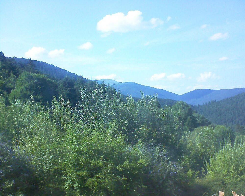 Le petit ballon vu depuis le Domaine Langmatt à Murbach le 18.07.2024 à 17:15 Le petit ballon (Alsace, Vosges) le 18.07.2024 à 17:15