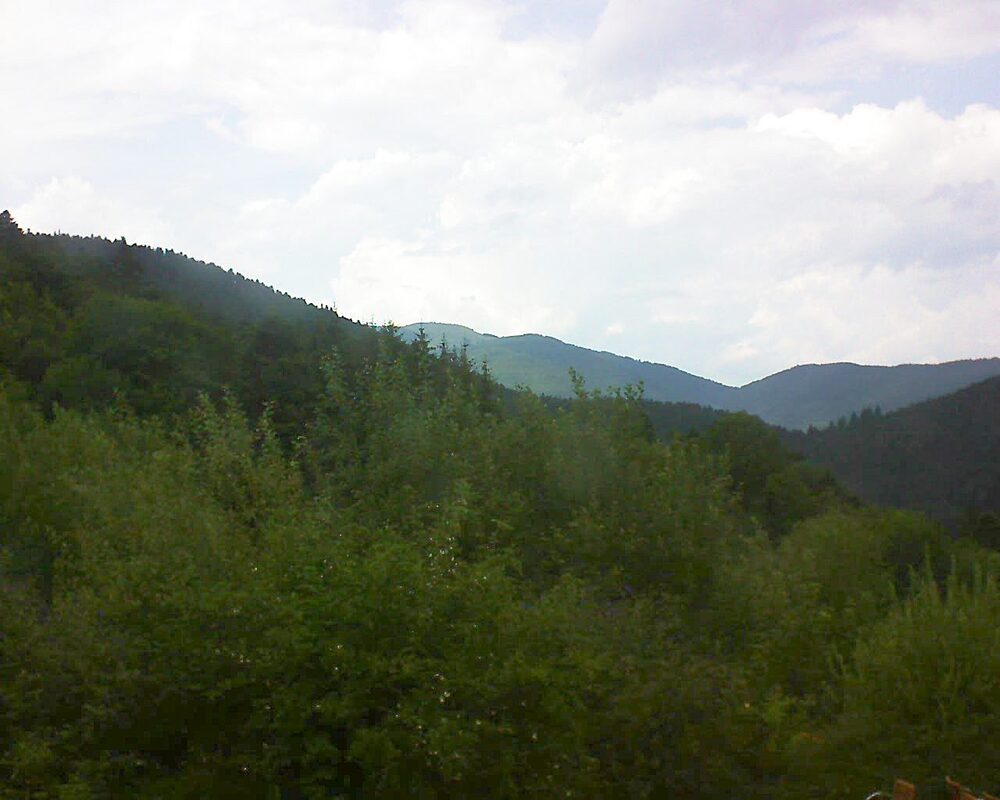Le petit ballon (Alsace, Vosges) le 20.07.2024 à 15:00