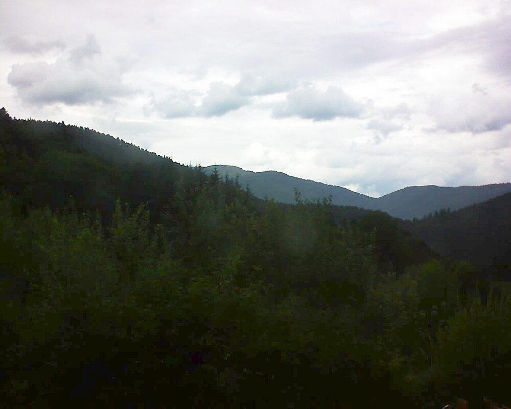 Le petit ballon (Alsace, Vosges) le 21.07.2024 à 16:00
