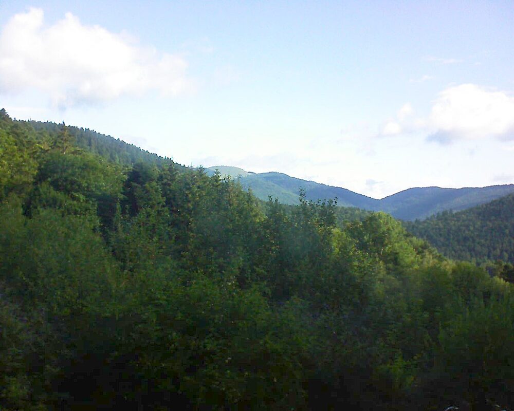 Le petit ballon vu depuis le Domaine Langmatt à Murbach le 22.07.2024 à 09:15 Le petit ballon (Alsace, Vosges) le 22.07.2024 à 09:15