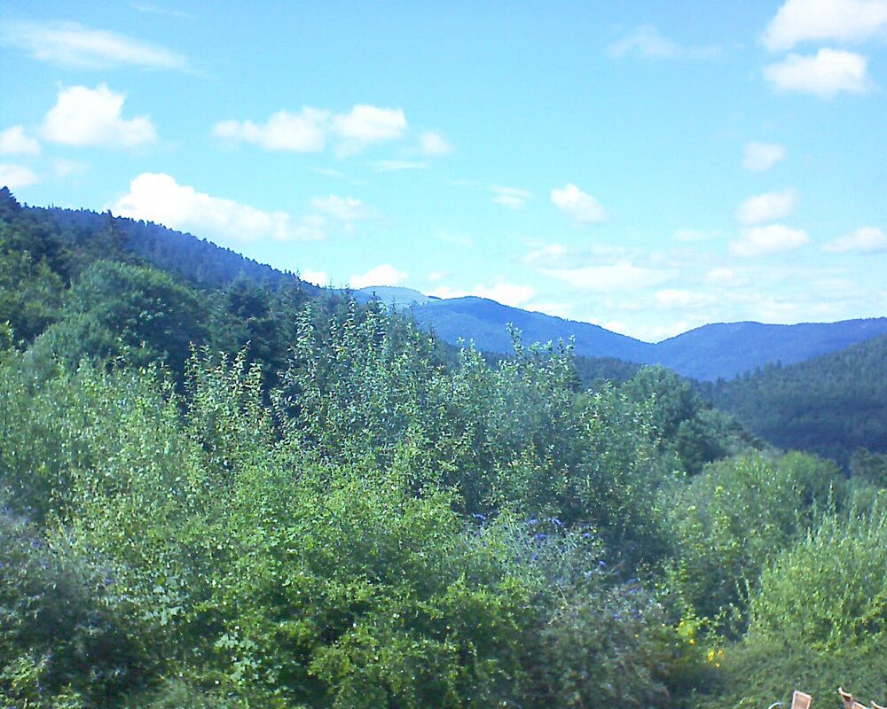 Le petit ballon vu depuis le Domaine Langmatt à Murbach le 22.07.2024 à 16:00 Le petit ballon (Alsace, Vosges) le 22.07.2024 à 16:00