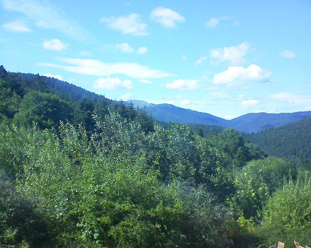 Le petit ballon vu depuis le Domaine Langmatt à Murbach le 22.07.2024 à 16:45 Le petit ballon (Alsace, Vosges) le 22.07.2024 à 16:45