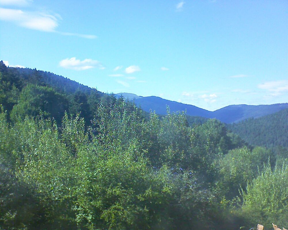 Le petit ballon (Alsace, Vosges) le 22.07.2024 à 17:30