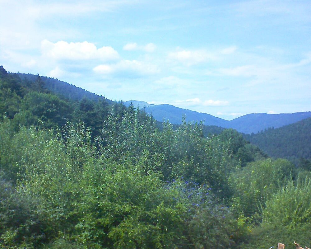 Le petit ballon vu depuis le Domaine Langmatt à Murbach le 25.07.2024 à 15:30 Le petit ballon (Alsace, Vosges) le 25.07.2024 à 15:30