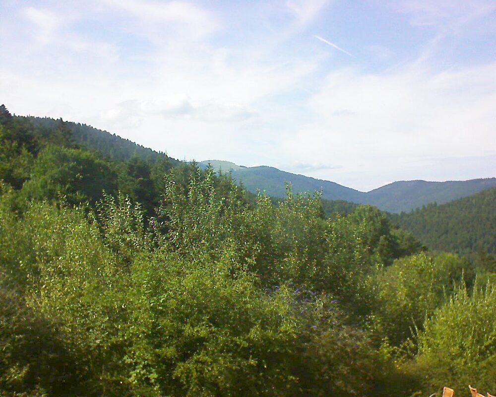 Le petit ballon vu depuis le Domaine Langmatt à Murbach le 25.07.2024 à 17:00 Le petit ballon (Alsace, Vosges) le 25.07.2024 à 17:00